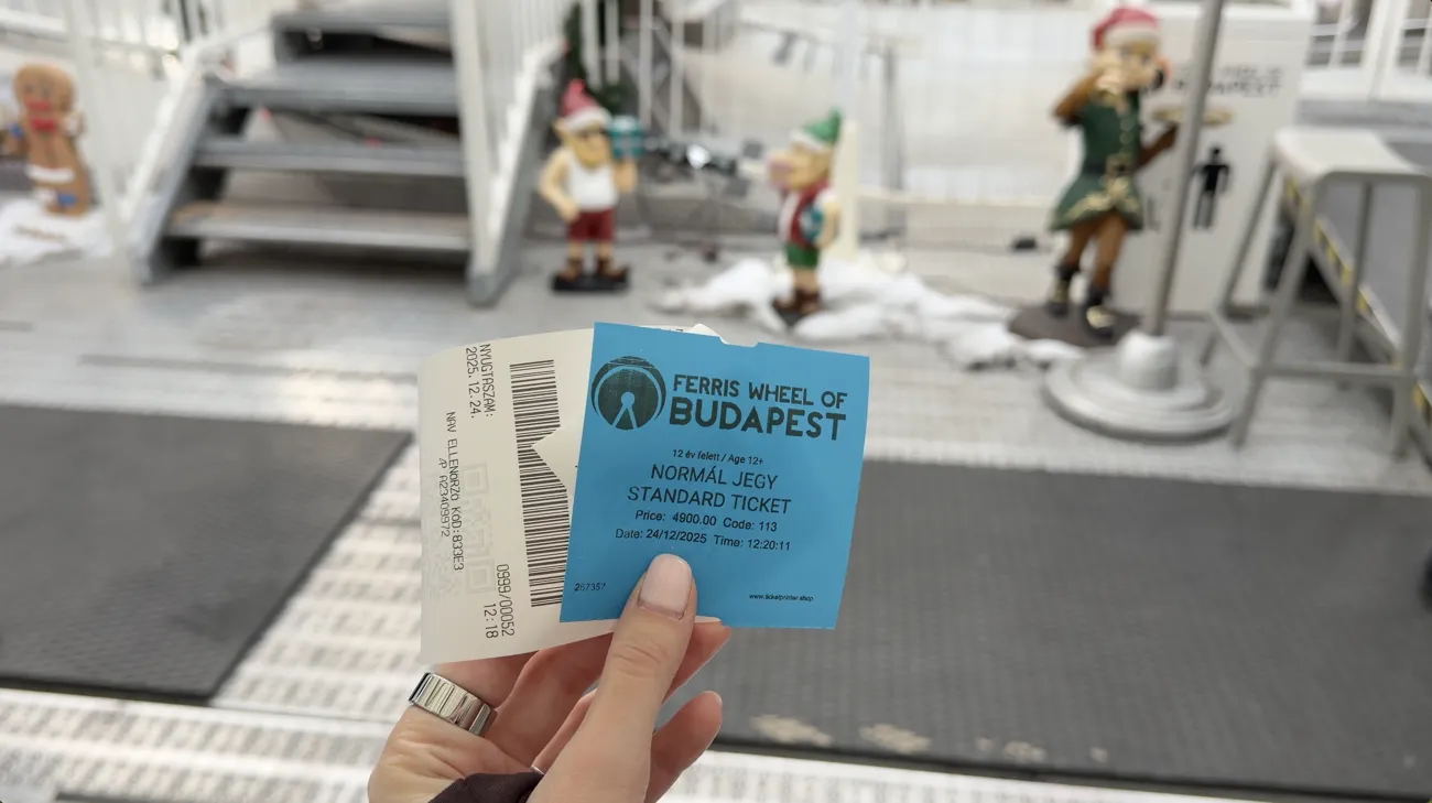 A hand holding a blue Ferris wheel ticket marked as a standard ticket.